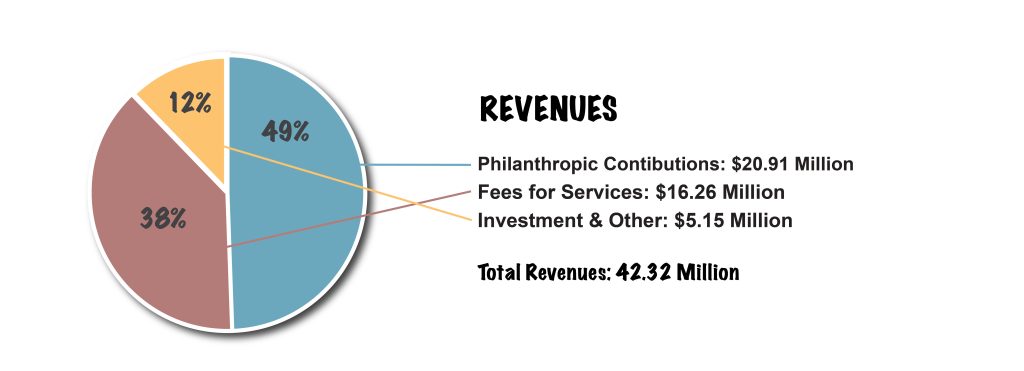 Revenues